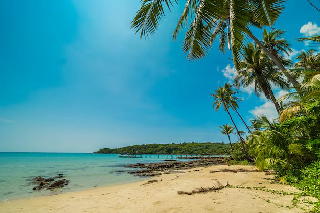 Premium Beachfront Land for Sale in Goa – Your Gateway to Paradise