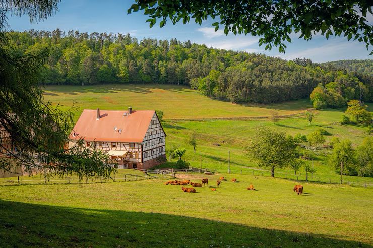 Buy Farmhouse in Delhi