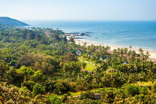 Farm Land for Sale in Goa