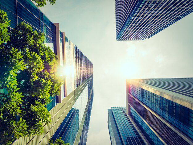 Explore the Benefits of Green Building Certifications in Real Estate