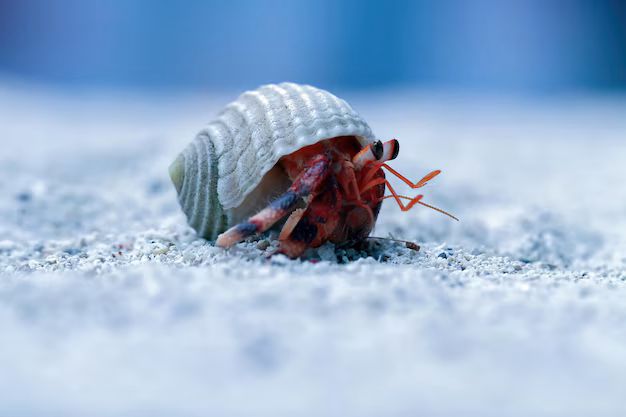 How to Eliminate Bed Bugs in Apartment Buildings