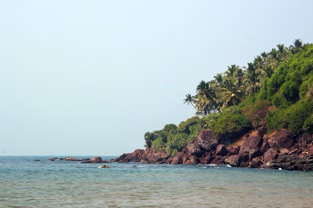 Land for Sale in North Goa